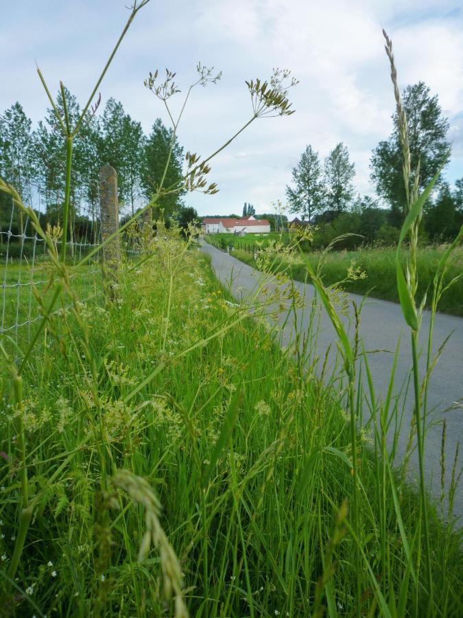 Het Verblijf Sint-Martens-Lennik Eksteriør bilde
